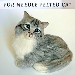 Pode incluir: Figura de gato em feltro com agulha, com pelo cinza e branco, olhos azuis grandes e nariz rosa. O gato est&aacute; sentado com a cabe&ccedil;a ligeiramente inclinada. O texto na parte superior diz "FOR NEEDLE FELTED CAT."