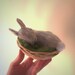Gray Needle Felted Sleeping Bunny Figurine, Organic Wool Waldorf Rabbit ...