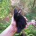 Black Needle Felted Sleeping Bunny Figurine, Organic Wool Cute Waldorf ...