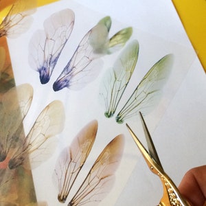 The image shows a transparent collage sheet depicting bee wings in someone's hand and being cut with a pair of scissors.