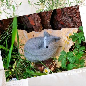 In the picture, a fluffy wool toy little wolf is lying curled up in the green grass.