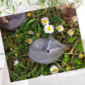 In the picture, a fluffy wool toy little wolf is lying curled up in the green grass.