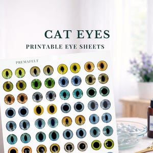 Farbe Katzenaugen Sheets: Nadel gefilzte Kätzchen und Amigurumi Zubehör (Digitaler Download)