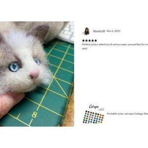 The picture shows a needle felted cat face decoration made of wool, with a feedback text next to it about how much the person who bought it liked it