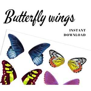 Printable Colored Butterfly Wings Collage Sheet to Handmade - Etsy