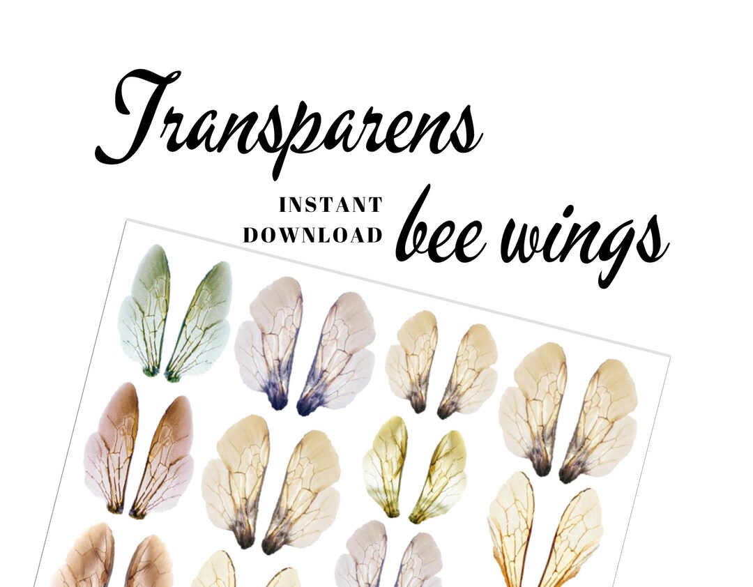 Printable Transparent Bee Wings Collage Sheet to Needle Felted Bee ...