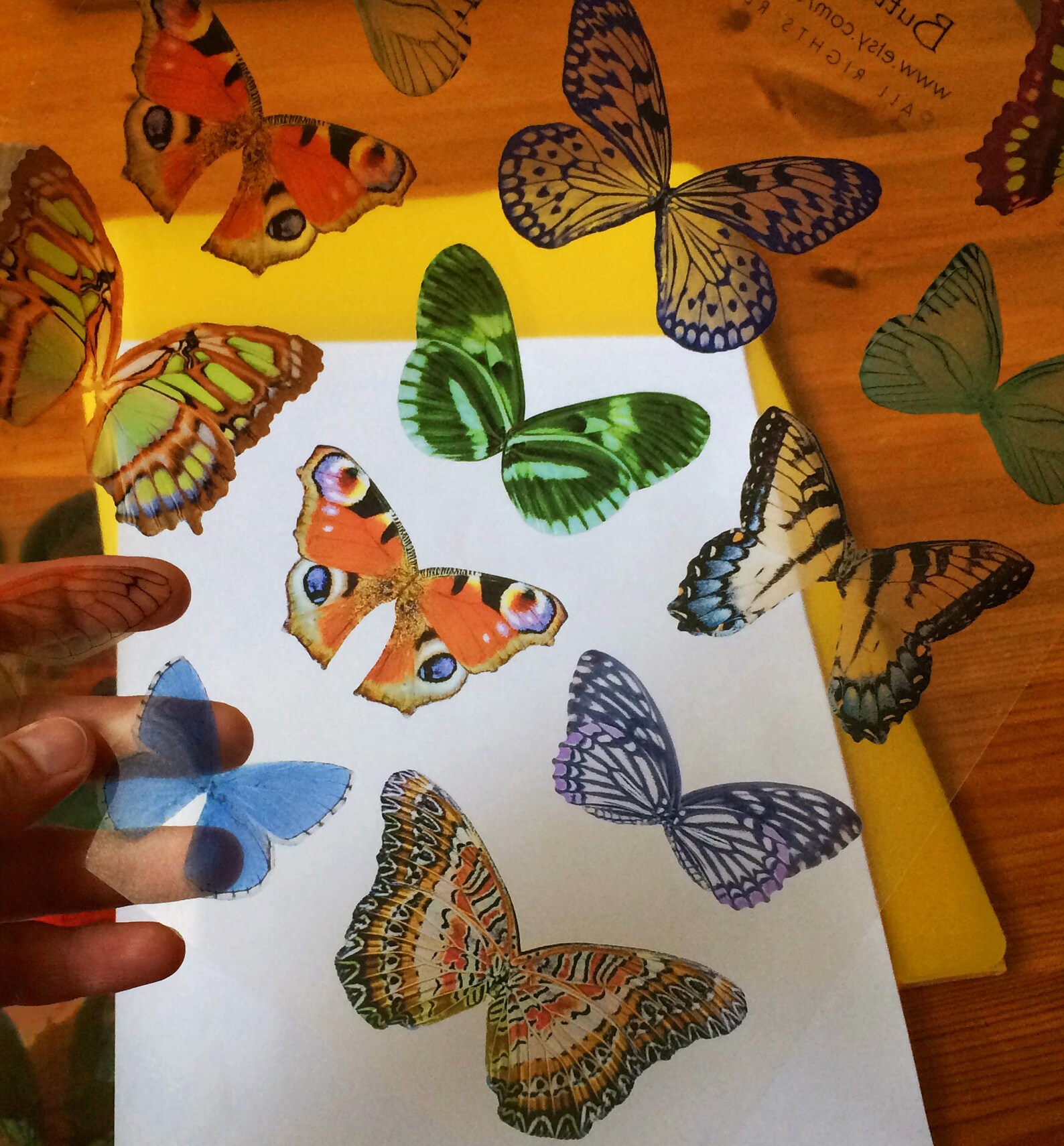 Printable Colored Butterfly Wings Collage Sheet to Handmade - Etsy