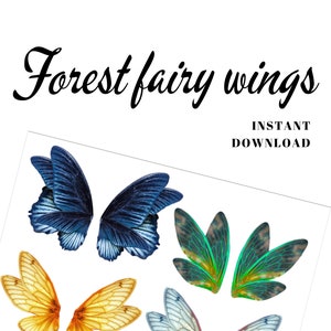 Printable forest fairy wings set to handmade dolls, cakes, jewerly. Digital download PNG file.