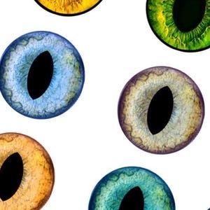 The picture shows a template pattern depicting different colored cat eyes.