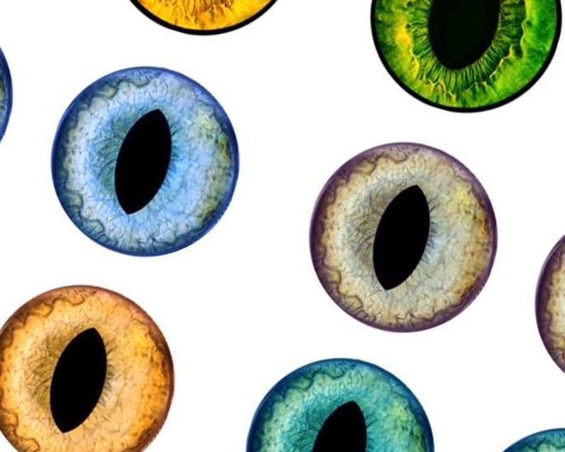 The picture shows a template pattern depicting different colored cat eyes.