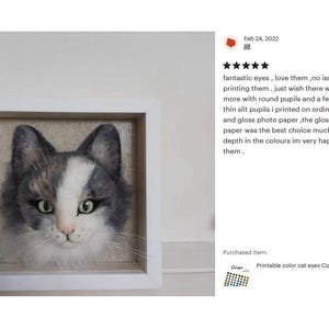 The picture shows a needle felted cat face decoration made of wool, with a feedback text next to it about how much the person who bought it liked it