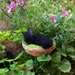Black Needle Felted Sleeping Bunny Figurine, Organic Wool Cute Waldorf ...