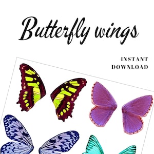 Feuille de collage imprimable avec des ailes de papillon colorées pour poupées, gâteaux, bijoux, albums de coupures faits main. Fichier PNG à téléchargement numérique.
