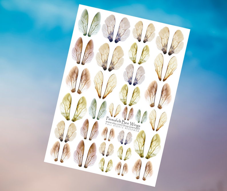 The picture shows a collage sheet depicting bee wings against a blue background.