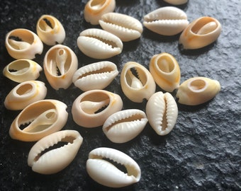 small cowrie shells 10/15 mm per 20/50 or 100