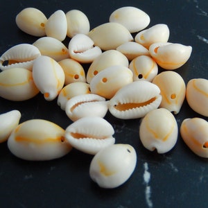 Può includere: Una collezione di conchiglie di cauri bianche con segni arancioni. Le conchiglie sono lisce e hanno un foro praticato.