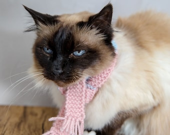 Scarf, knitted scarf for cat or small dog made by hand, knitted scarf, cat scarf, small animal accessory