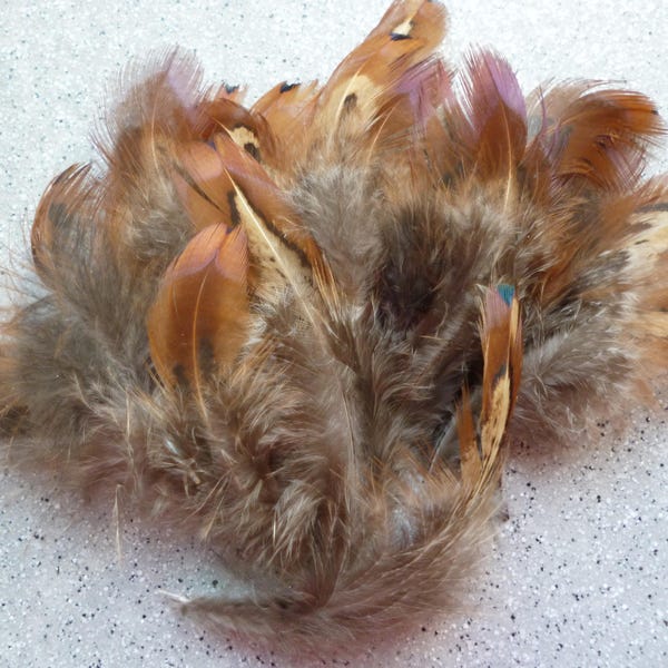 20 Belles plumes de faisans naturelles,6 cm, plumes pour  créations capteurs de rêves, chapeau