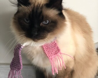 Echarpe, tour du cou au tricot pour chat, fait main