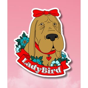 Peut inclure: Un autocollant représentant une illustration de dessin animé d'un chien de sang brun et blanc portant un nœud rouge et un collier rouge avec un charme en forme de cœur. Le chien est entouré de fleurs bleues et d'une bannière rouge avec le texte "Lady Bird".