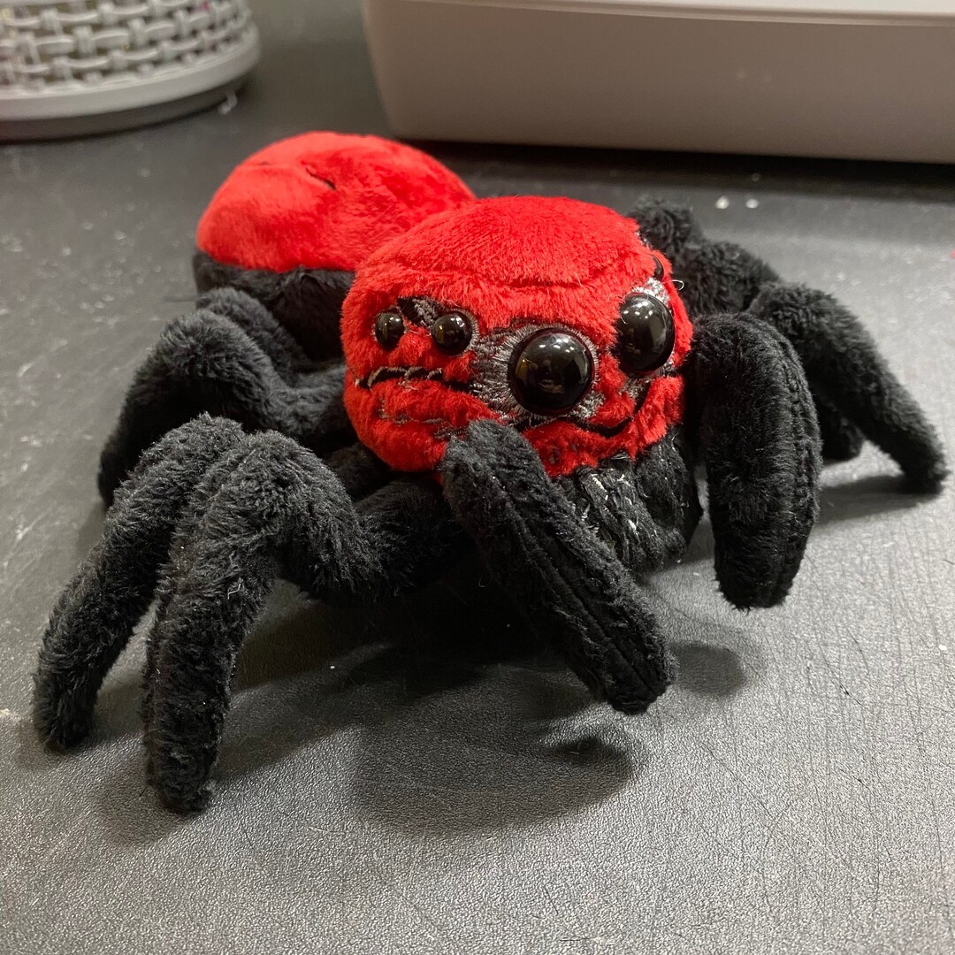 Cute Cardinal Jumping Spider Etsy