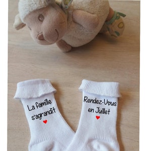 pregnancy announcement baby socks the family is growing, original announcement,