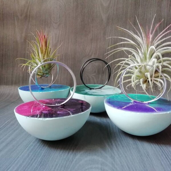 Support pour tillandsia - support béton air plante