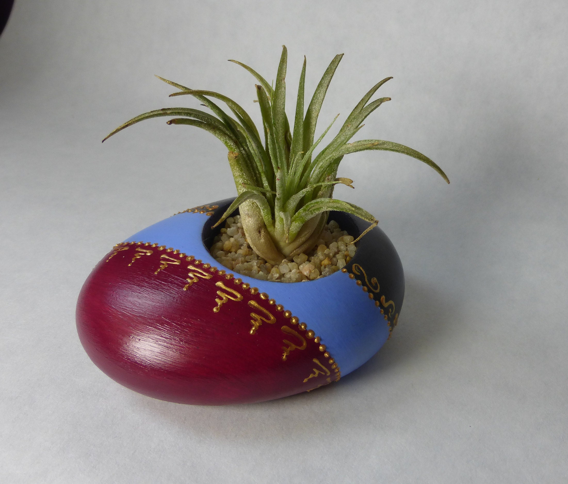 Pot Pour Tillandsia - Bougeoir Framboise, Bleu et Violet avec Bougie Parfumée