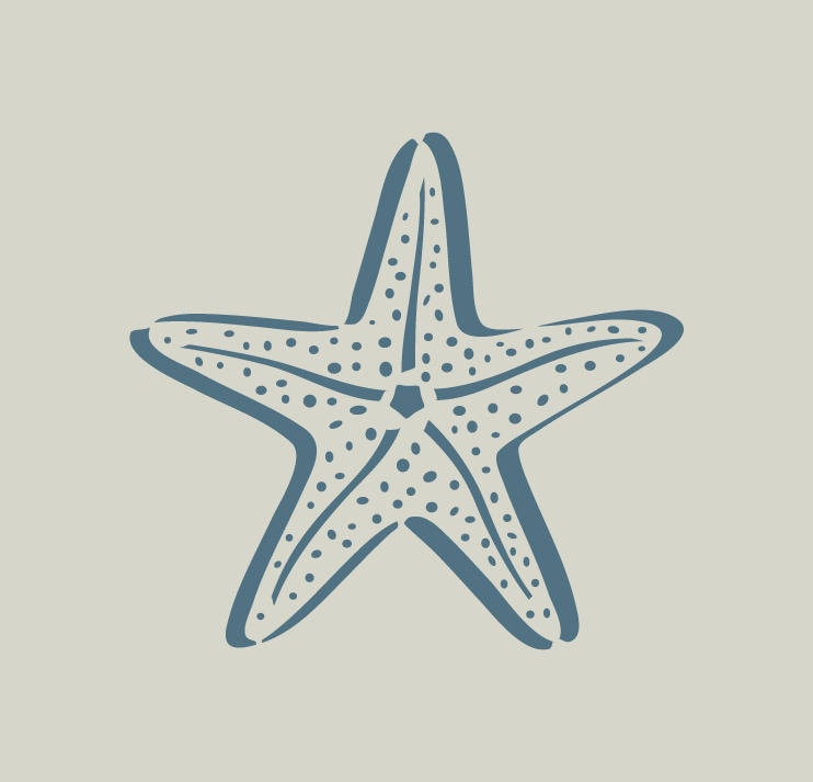 Starof. Sea star stencil. Adhesive vinyl stencil. ref 283 | Etsy