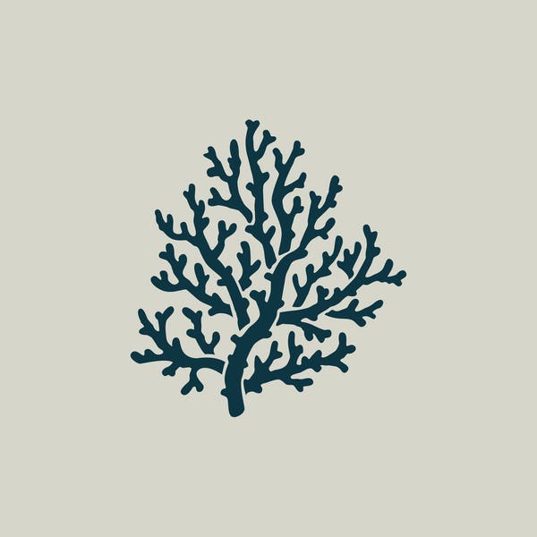 Coral Stencil - Etsy