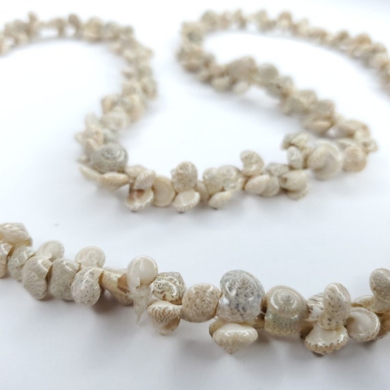 Collier Long Ancien En Coquillages - Bijou Ethnique Vintage, Peut Avoir Des Manques