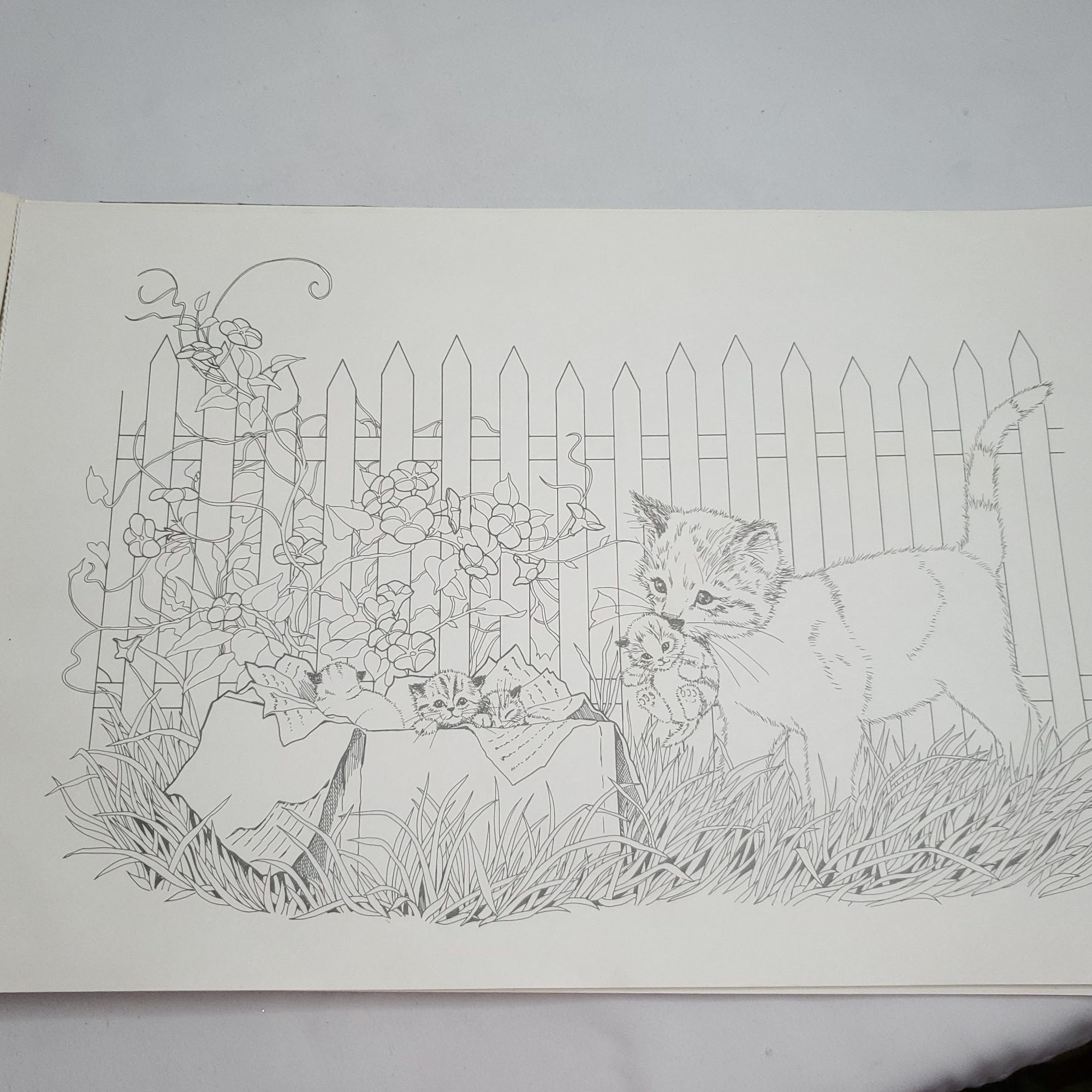 Red Farm Studio Playful Puppies Large Coloring Book Dogs Extra Etsy