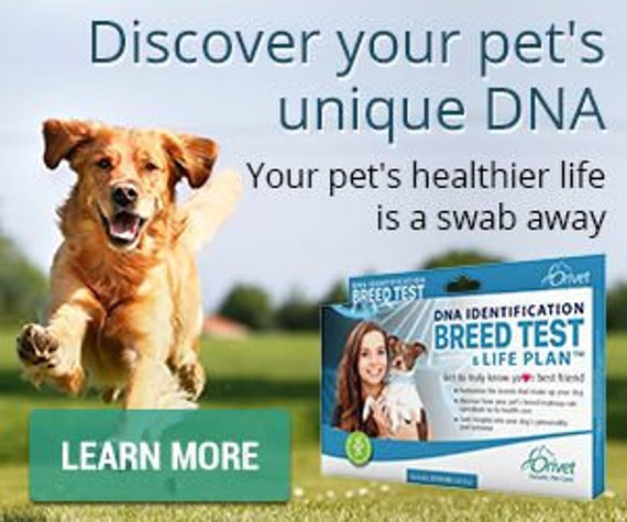 Test ADN Canin BREEDS Plan Vie Médicale inclus -  France
