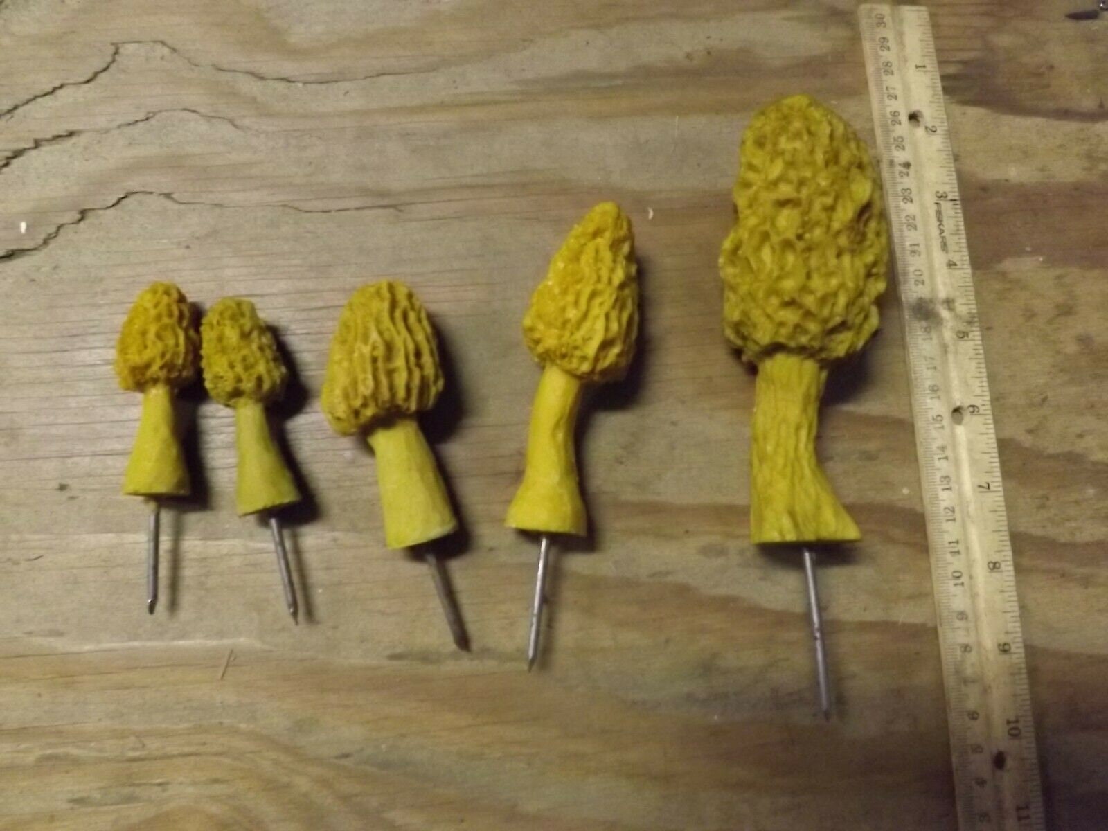 Morel Mushroom Spores in Liquid Garden Mushroom Seed Grow Kit Etsy