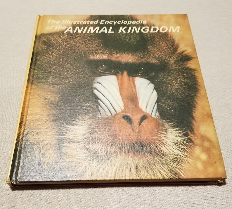 Vintage 1972 Illustrated Encyclopedia of the Animal Kingdom Etsy