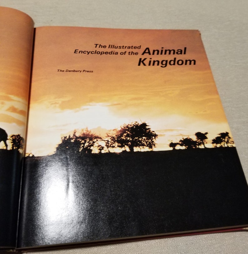 Vintage 1972 Illustrated Encyclopedia of the Animal Kingdom Etsy