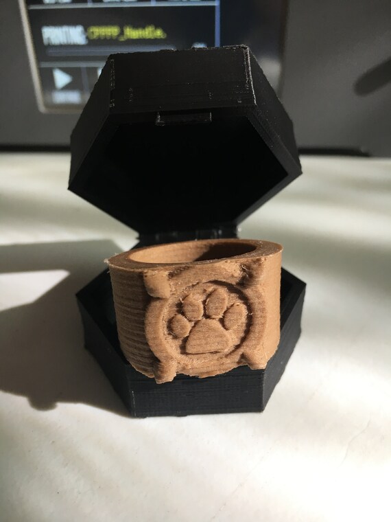 Cosplay Accessories Chat Noir Miraculous