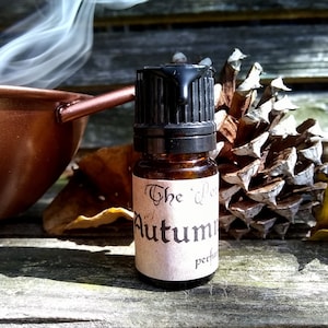 Autumn Brew Perfume Oil - Limited Edition Seasonal