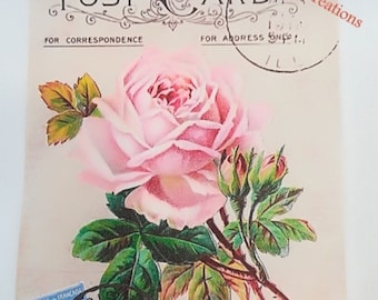 Applique transfert 0016. Rose Post Card