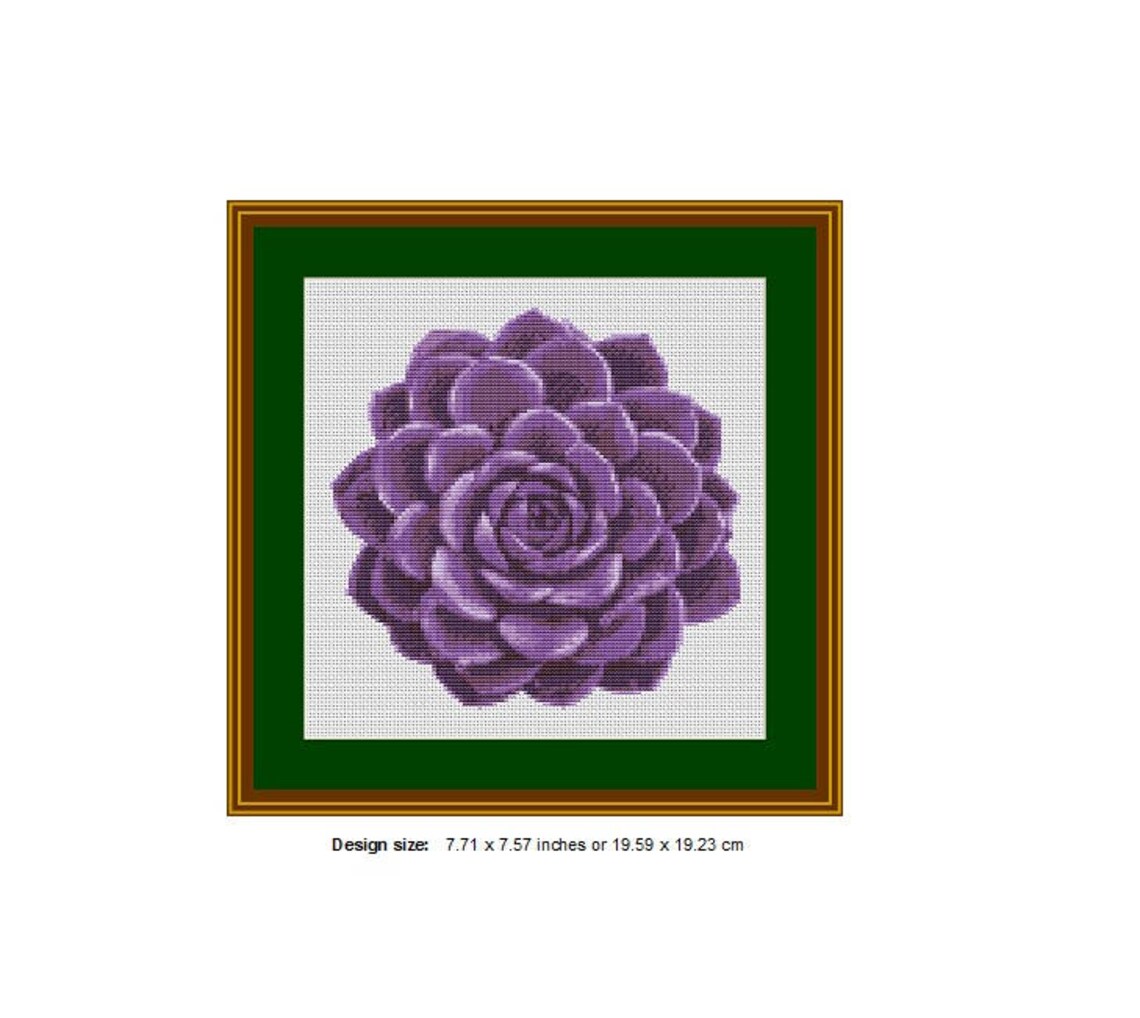 Succulent Cross Stitch Pattern Cross Stitch PDF Instant Etsy
