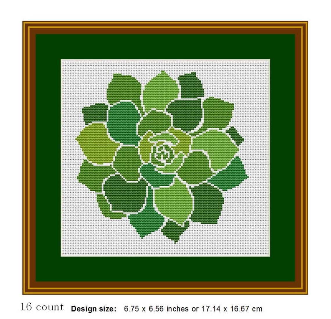 Succulent Cross Stitch Pattern Cross Stitch PDF Instant Etsy