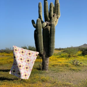 May include: A pink and white quilt with a geometric pattern is draped over a large saguaro cactus in the desert. The cactus is surrounded by yellow wildflowers.