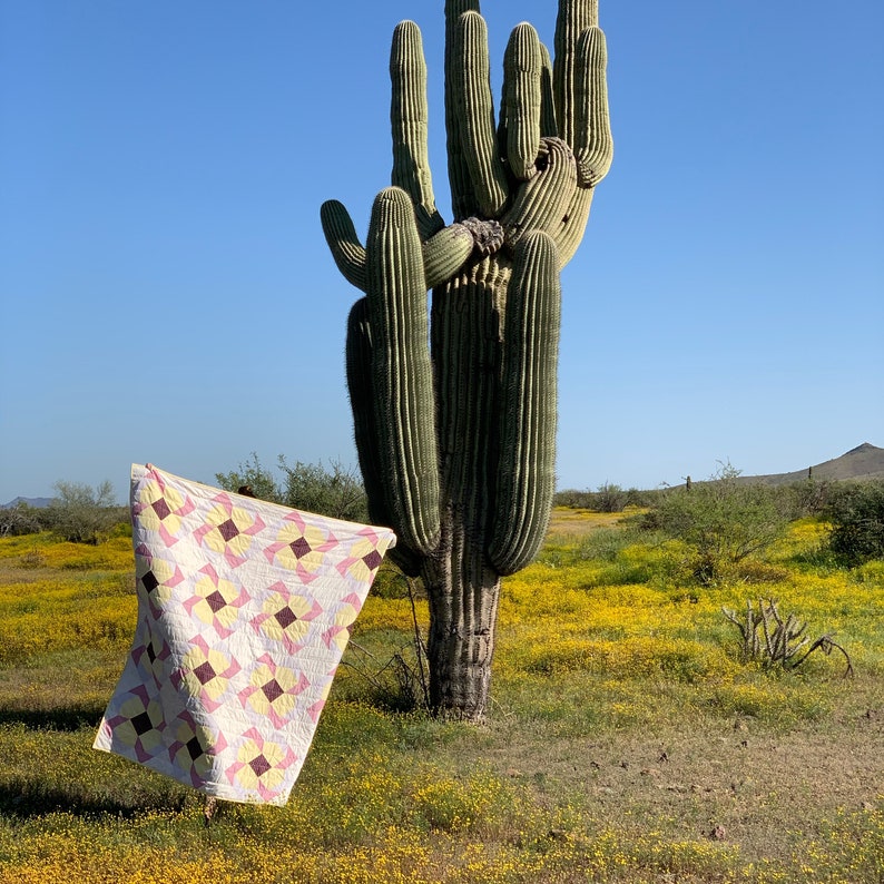 May include: A pink and white quilt with a geometric pattern is draped over a large saguaro cactus in the desert. The cactus is surrounded by yellow wildflowers.