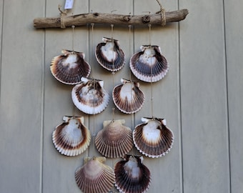 Mobile coquillage, mobile bois flotté, déco bord de mer, déco plage, St.Jacques , bois flotté, suspension coquillage, carillon éolien