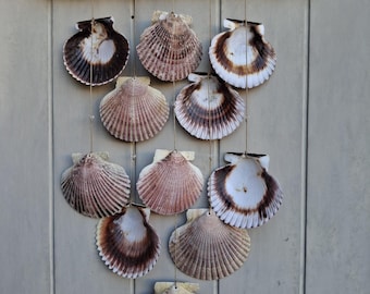 Mobile coquillage, mobile bois flotté, déco bord de mer, déco plage, St.Jacques , bois flotté, suspension coquillage, carillon éolien