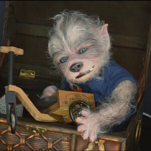 Little Werewolf In Sheep S Clothing Etsy