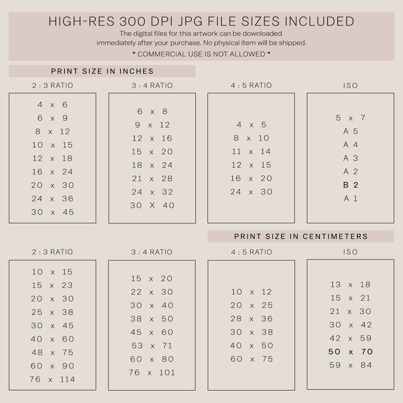 May include: A chart showing the different print sizes available for digital artwork in inches and centimeters. The chart includes 2:3, 3:4, 4:5 ratios and ISO standard sizes. The text "HIGH-RES 300 DPI JPG FILE SIZES INCLUDED" is at the top of the chart. The text "COMMERCIAL USE IS NOT ALLOWED" is in the middle of the chart.