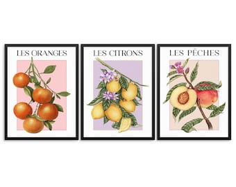 Set of 3 Gallery Wall Pastel Colors Fruit Market Art Prints |DIGITAL DOWNLOAD| Lemons Oranges and Peaches Colorful Wall Art for Kitchen