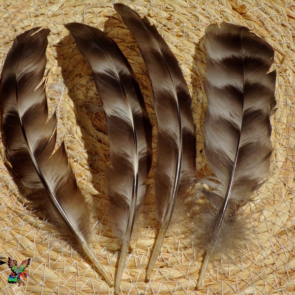 Eagle Feathers 6 Pieces Imitation Eagle Feathers
