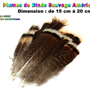 Grandes Plumes Naturelles de Dinde Sauvage de 12 cm à 18 cm, Plumes Origine U.S.A, Plumes de Virginie Occidentale, Plumes Tribales Ethniques image 2